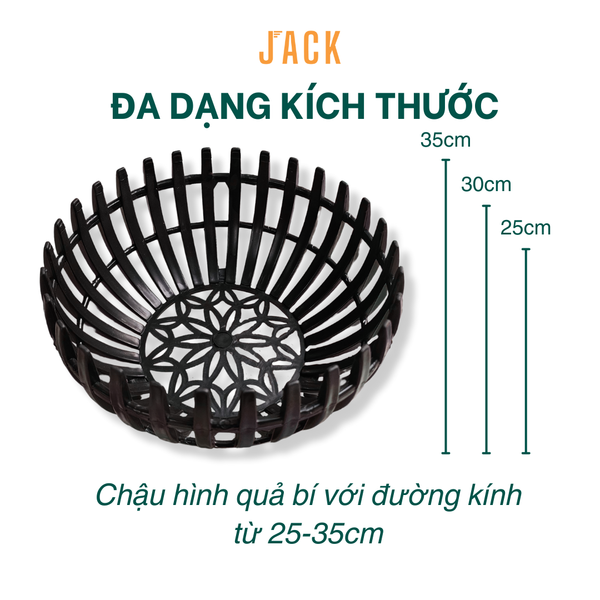  Chậu Nhựa Trồng Lan Hình Quả Bí Cao Cấp 