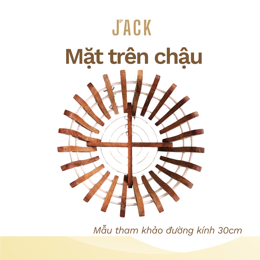  Chậu gỗ căm xe trồng lan Jack hình hoa sen cao cấp 