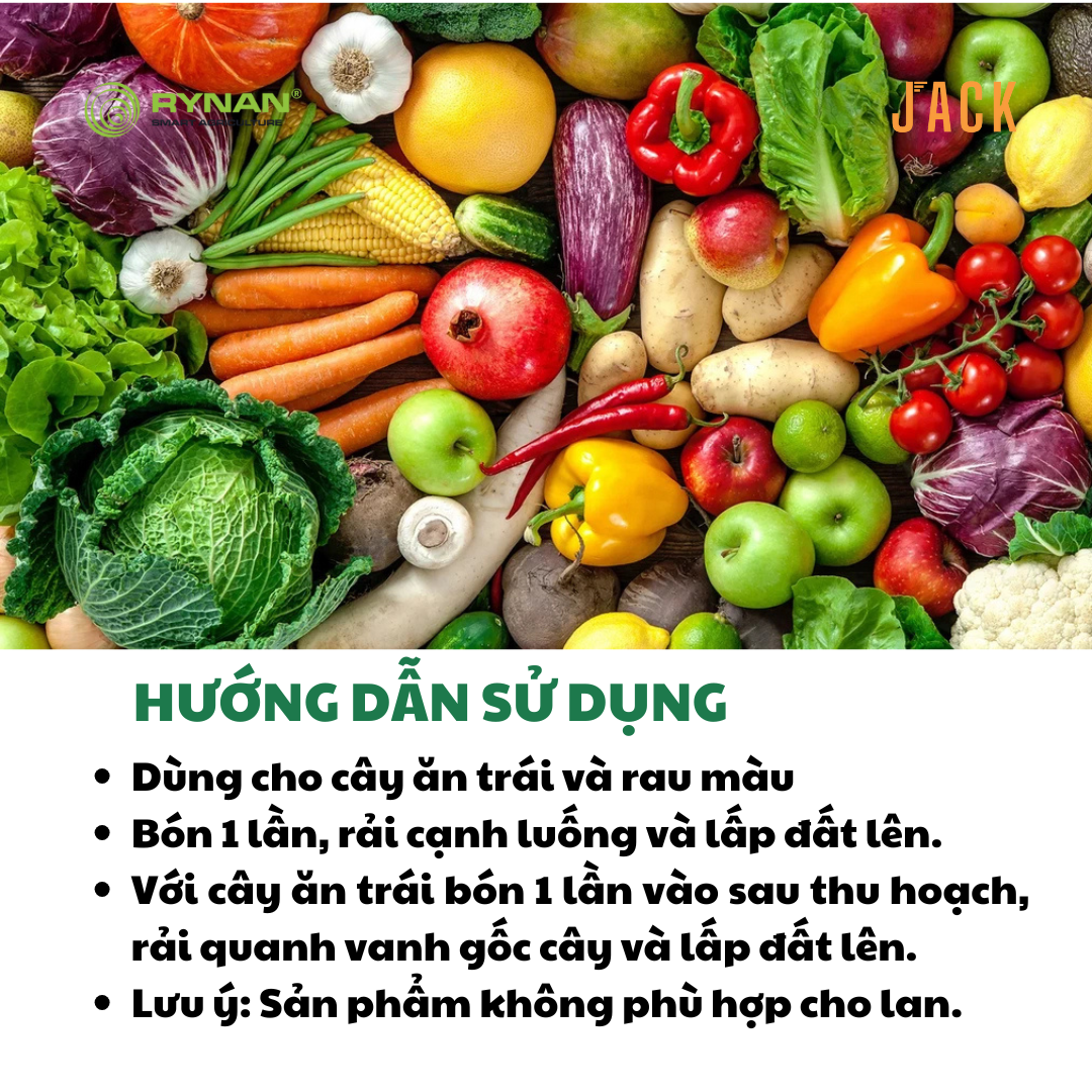  Phân bón tan chậm Rynan 19-19-09 – Dinh dưỡng cân đối, nuôi cây khỏe, trái bền 
