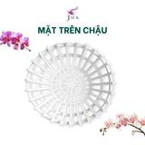  Combo 5 Chậu Nhựa Trồng Lan Hình Quả Bí — 5 Kích Thước, 2 Màu, Bền Nhẹ 