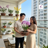  Combo 5 Chậu Gỗ Trồng Lan Hình Quả Bí và Hoa Sen Tuyệt Đẹp 
