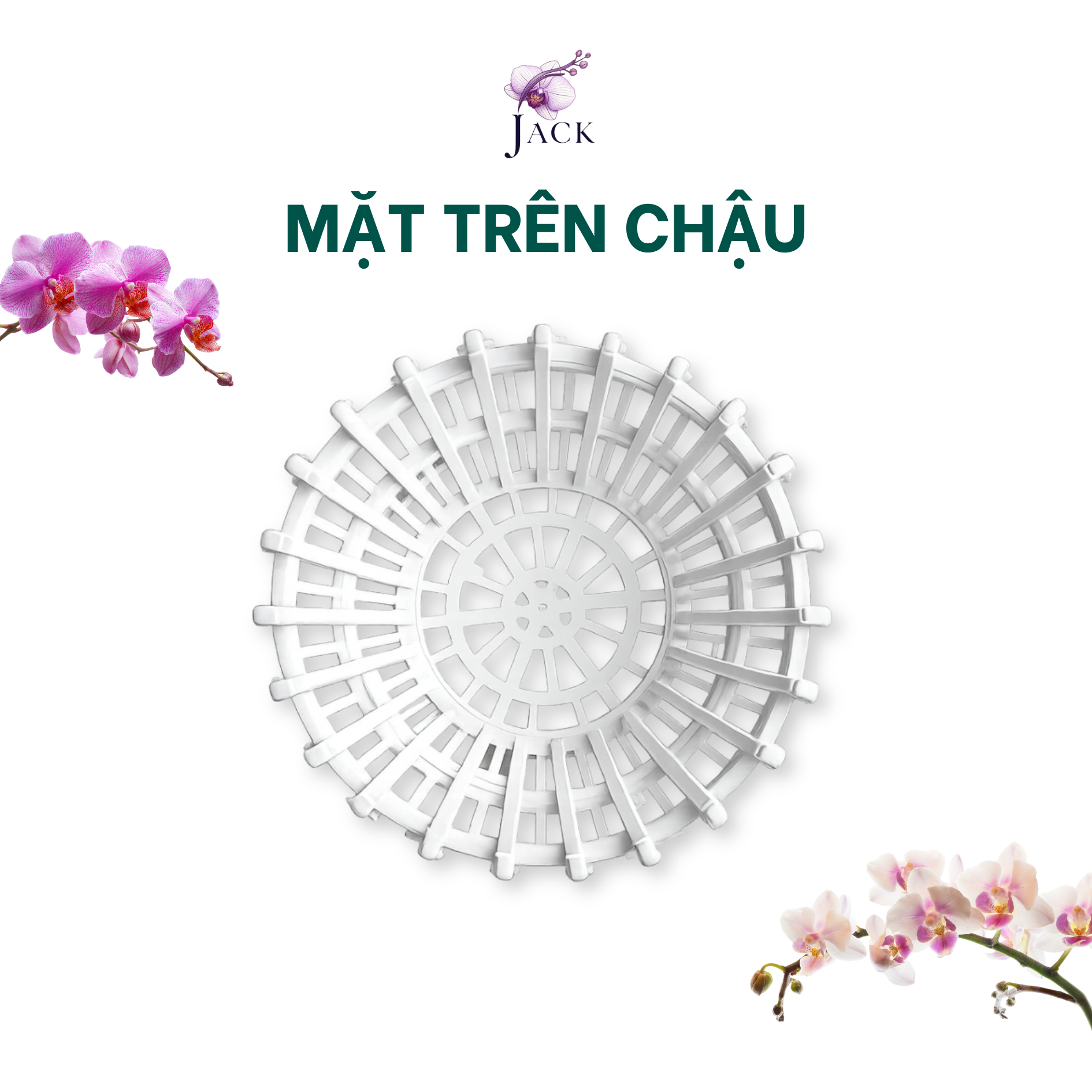  Combo 5 Chậu Nhựa Trồng Lan Giả Gỗ — 5 Kích Thước, 2 Màu, Bền Nhẹ 