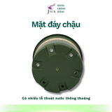  Chậu nhựa trồng cây MONROVIA Size Nhỏ 