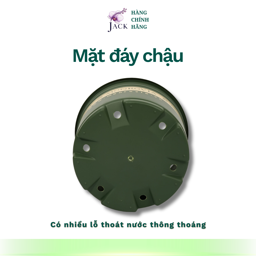  Chậu nhựa trồng cây MONROVIA Size Nhỏ 