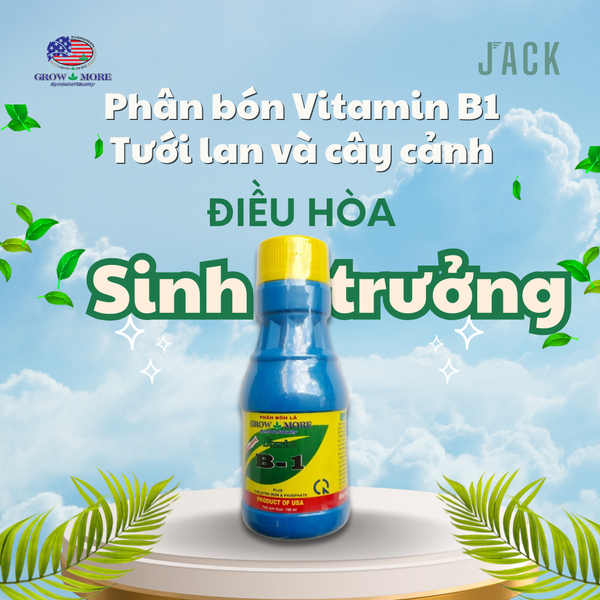  Combo 5 chai Phân bón lá đa vi lượng Vitamin B1 Grow More Mỹ 