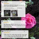  Phân bón hữu cơ rong biển DOCNEEM cho cây cảnh, lan, rau củ 