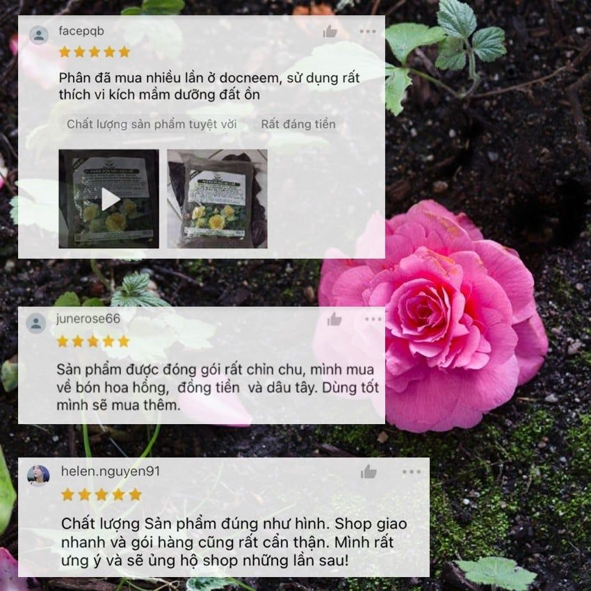  Phân bón hữu cơ rong biển DOCNEEM cho cây cảnh, lan, rau củ 