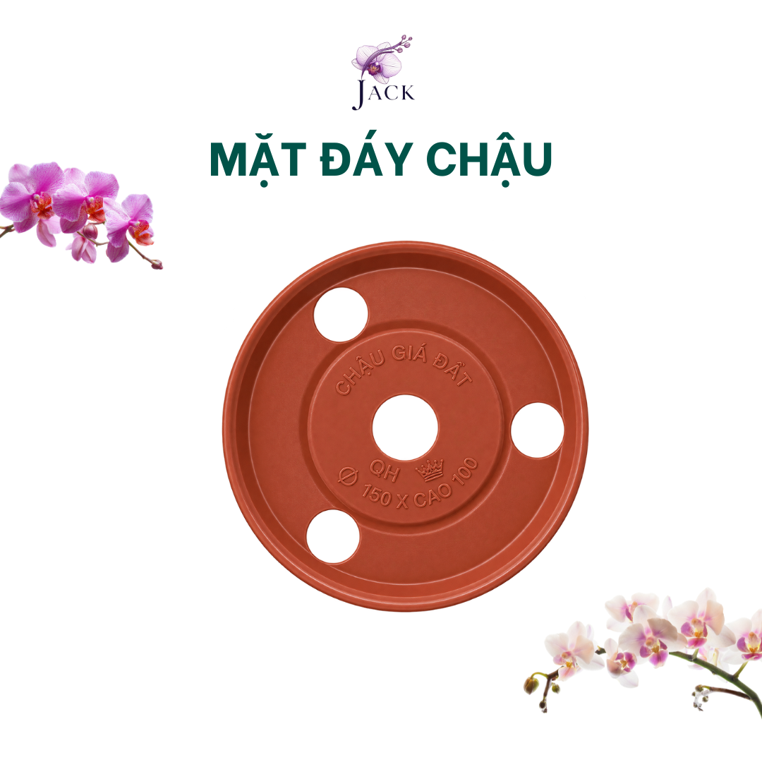  Chậu Nhựa Trồng Lan Màu Đất Nung — Bền, Đẹp, Nhẹ, Thoáng Khí — Tặng Kèm Móc Treo 