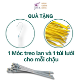  Chậu Nhựa Trồng Lan Hình Hoa Sen Jack - Nan Dày, Kèm Móc 