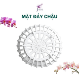  Combo 5 Chậu Nhựa Trồng Lan Hình Quả Bí — 5 Kích Thước, 2 Màu, Bền Nhẹ 