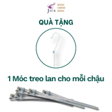  Chậu Nhựa Trồng Lan Màu Đất Nung — Bền, Đẹp, Nhẹ, Thoáng Khí — Tặng Kèm Móc Treo 