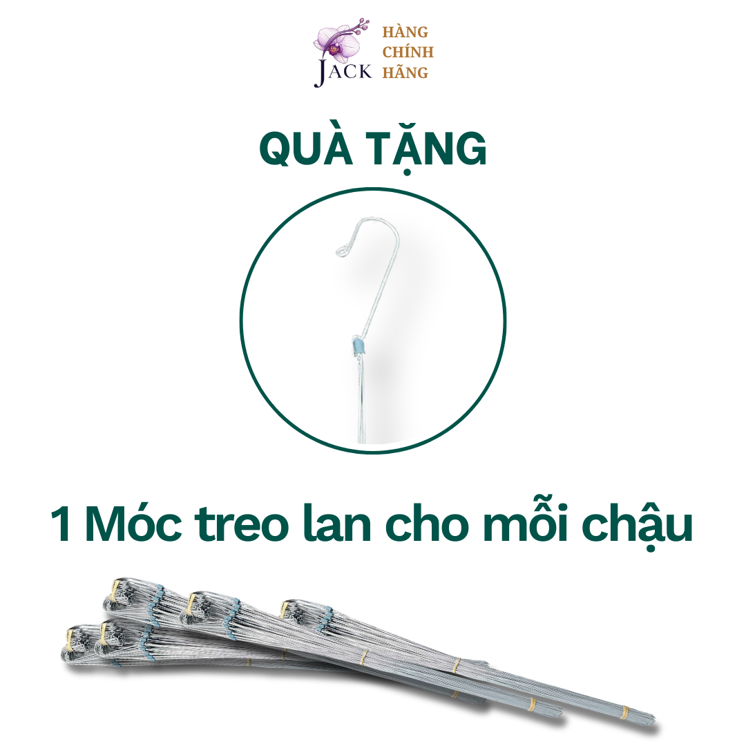  Chậu Nhựa Trồng Lan Màu Đất Nung — Bền, Đẹp, Nhẹ, Thoáng Khí — Tặng Kèm Móc Treo 