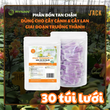  30 túi lưới phân bón tan chậm hoa lan RYNAN 22-10-10 (90g) 