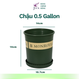  Chậu nhựa trồng cây MONROVIA Size Nhỏ 