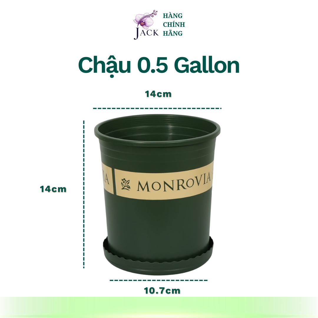  Chậu nhựa trồng cây MONROVIA Size Nhỏ 