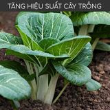  Phân trùn quế MONROVIA cho hoa, lan, rau, cây cảnh cao cấp 