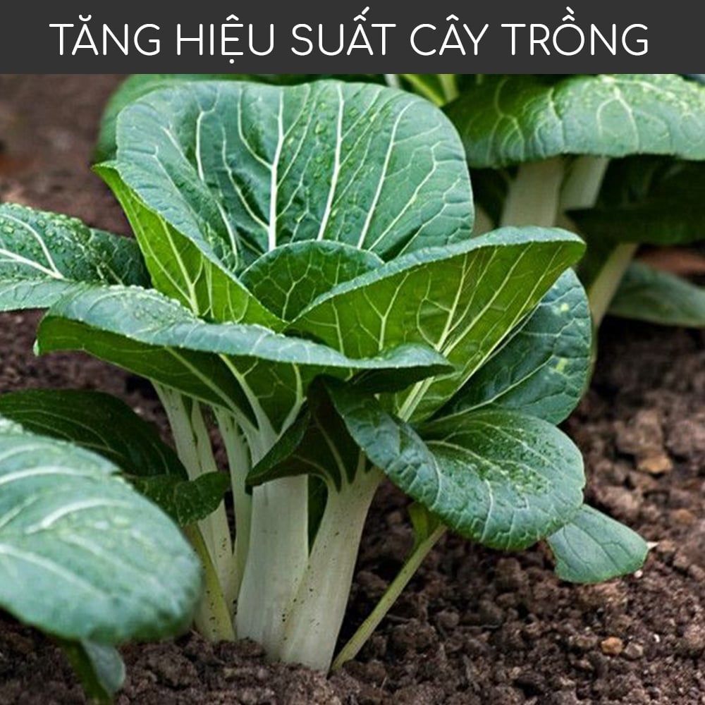  Phân trùn quế MONROVIA cho hoa, lan, rau, cây cảnh cao cấp 