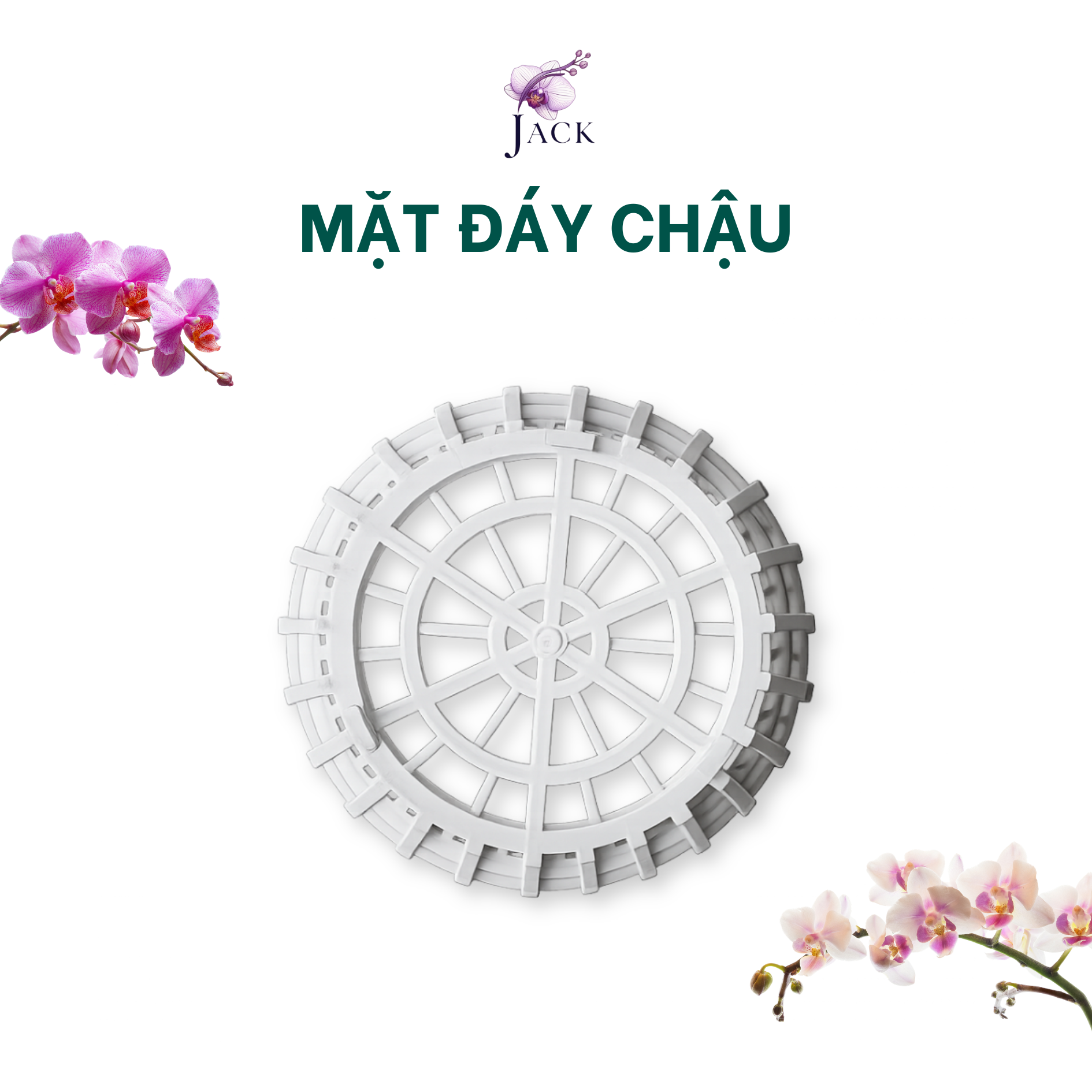  Combo 5 Chậu Nhựa Trồng Lan Giả Gỗ — 5 Kích Thước, 2 Màu, Bền Nhẹ 