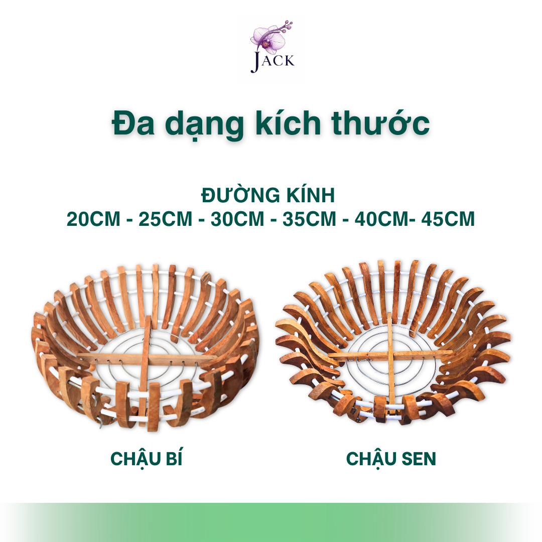  Chậu Gỗ Hình Quả Bí và Hoa Sen Tuyệt Đẹp Trồng Lan, Cây Cảnh 