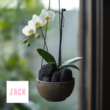  Giá thể Than trồng lan Jack đã qua xử lý – Hạn chế nấm bệnh 