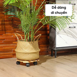  Đế gỗ lót chậu hình tròn có bánh xe Monrovia – Di chuyển chậu cây nhẹ nhàng, không trầy sàn 