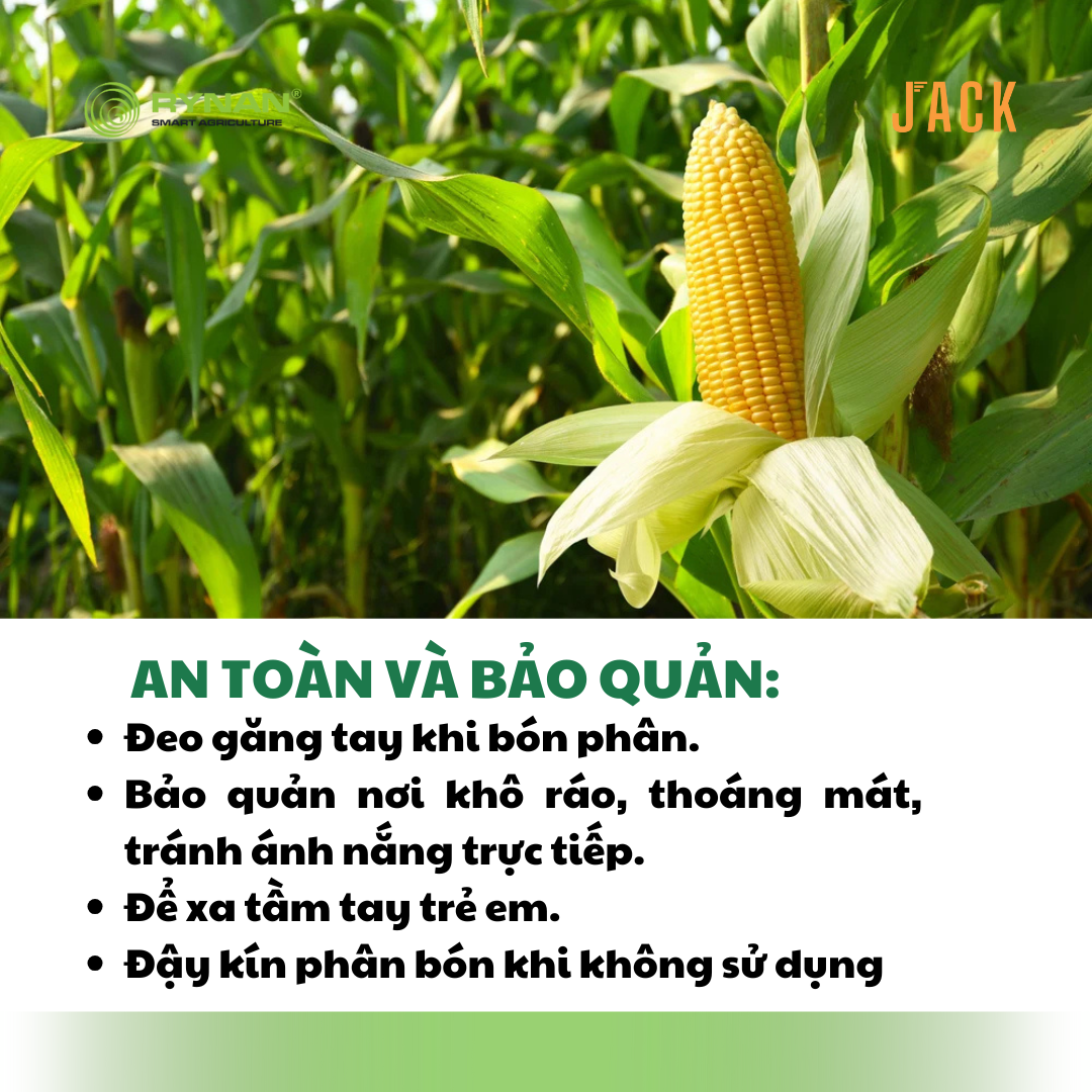  Phân bón tan chậm Rynan 19-19-09 – Dinh dưỡng cân đối, nuôi cây khỏe, trái bền 