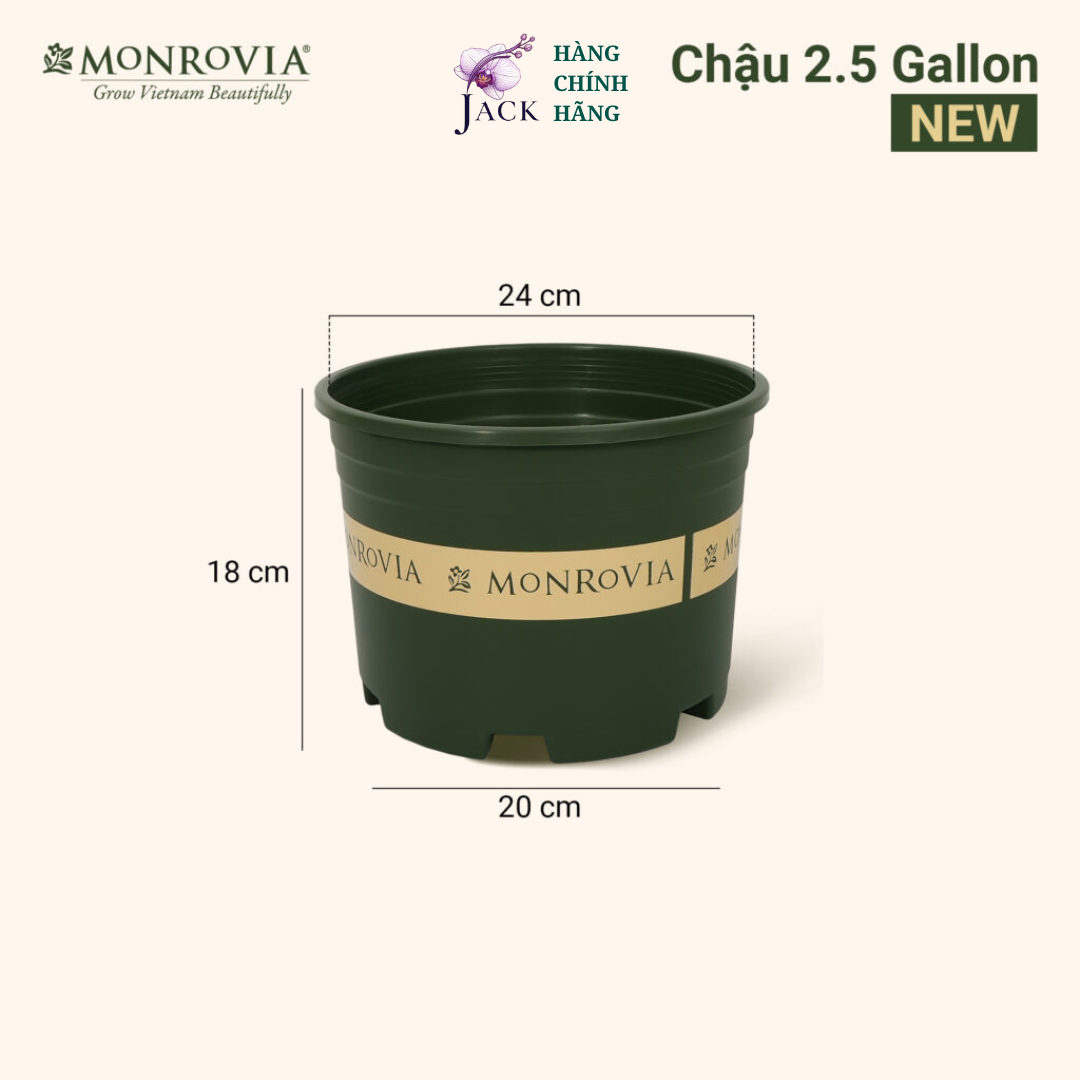  Chậu nhựa trồng cây MONROVIA Size Nhỏ 