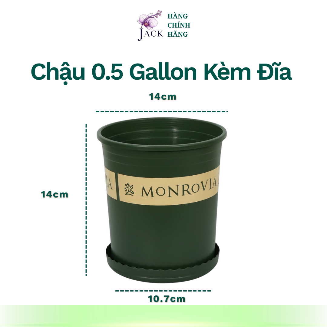  Chậu nhựa trồng cây MONROVIA Size Nhỏ 