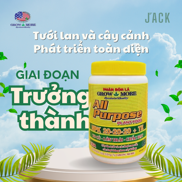  Phân bón cho hoa lan và cây cảnh Grow More 20-20-20 100g 