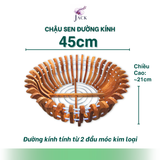  Chậu Gỗ Hình Quả Bí và Hoa Sen Tuyệt Đẹp Trồng Lan, Cây Cảnh 