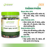  Phân bón tan chậm Rynan 19-19-09 – Dinh dưỡng cân đối, nuôi cây khỏe, trái bền 