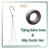  Khúc gỗ vú sữa trồng lan Jack – Siêu bám rễ, giữ ẩm tốt, kích thích lan sinh trưởng khỏe 