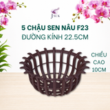  Chậu Nhựa Trồng Lan Hình Hoa Sen Jack - Nan Dày, Kèm Móc 