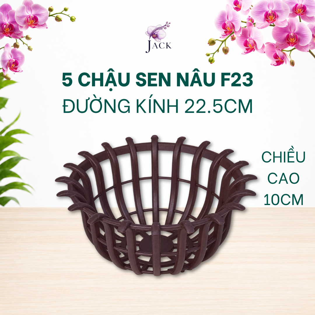  Chậu Nhựa Trồng Lan Hình Hoa Sen Jack - Nan Dày, Kèm Móc 