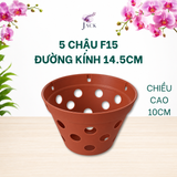  Chậu Nhựa Trồng Lan Màu Đất Nung — Bền, Đẹp, Nhẹ, Thoáng Khí — Tặng Kèm Móc Treo 