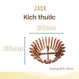  Chậu gỗ căm xe trồng lan Jack hình hoa sen cao cấp 