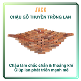  Chậu gỗ thuyền trồng lan và cây cảnh Jack thiết kế cao cấp 
