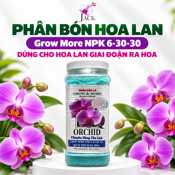  Phân Bón Kích và Dưỡng Hoa Cho Lan Grow More Orchid NPK 6-30-30 - Hũ 567.5g 