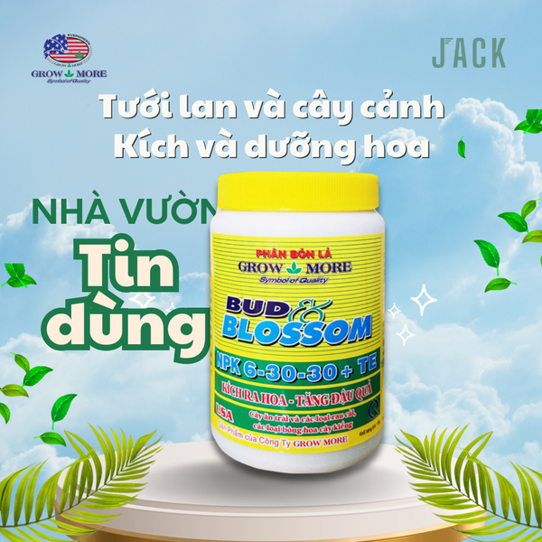  Phân bón kích & dưỡng hoa cho Lan, Cây Cảnh Growmore 6-30-30 