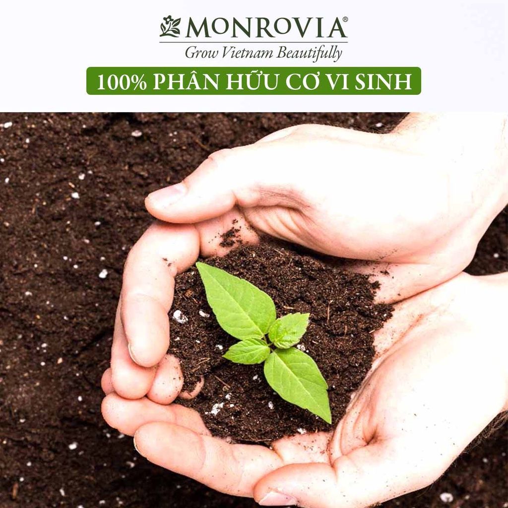  Đất trồng cây bổ sung nấm đối kháng, đá perlite MONROVIA 