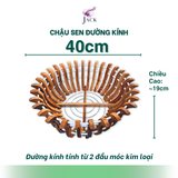  Chậu Gỗ Hình Quả Bí và Hoa Sen Tuyệt Đẹp Trồng Lan, Cây Cảnh 