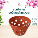  Chậu Nhựa Trồng Lan Màu Đất Nung — Bền, Đẹp, Nhẹ, Thoáng Khí — Tặng Kèm Móc Treo 