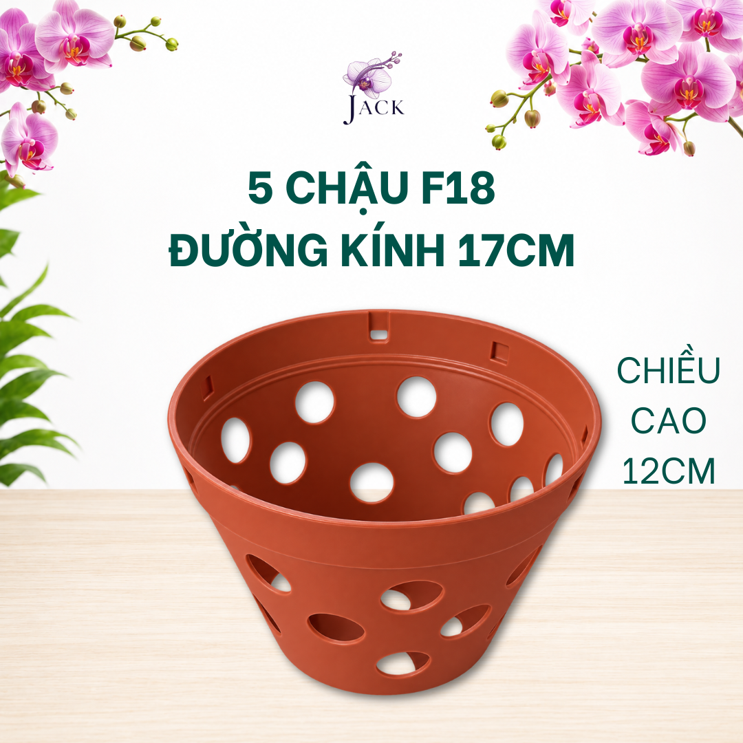  Chậu Nhựa Trồng Lan Màu Đất Nung — Bền, Đẹp, Nhẹ, Thoáng Khí — Tặng Kèm Móc Treo 