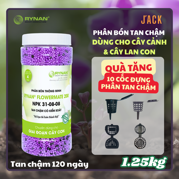  Phân bón tan chậm hoa lan và cây cảnh RYNAN 31-8-8 1.25kg 