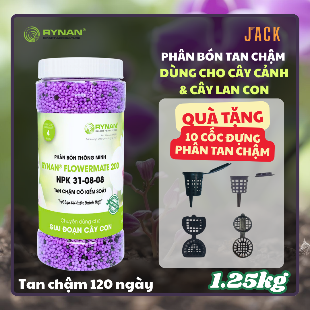  Phân bón tan chậm hoa lan và cây cảnh RYNAN 31-8-8 1.25kg 