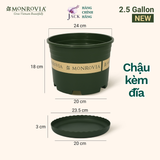  Chậu nhựa trồng cây MONROVIA Size Nhỏ 