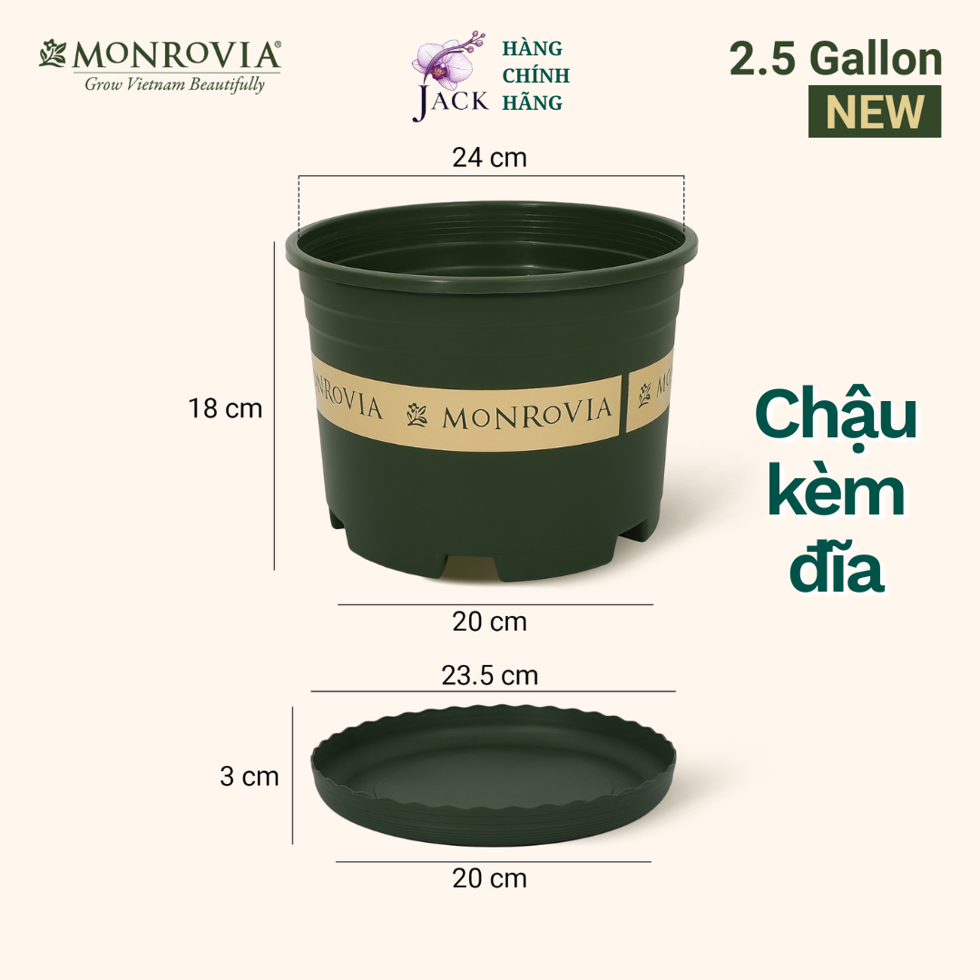  Chậu nhựa trồng cây MONROVIA Size Nhỏ 