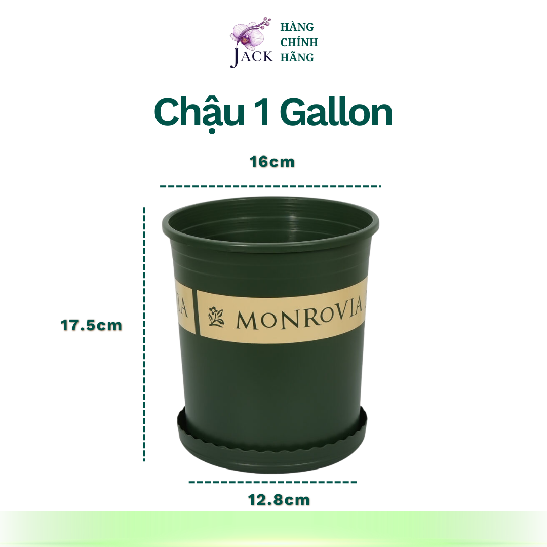  Chậu nhựa trồng cây MONROVIA Size Nhỏ 