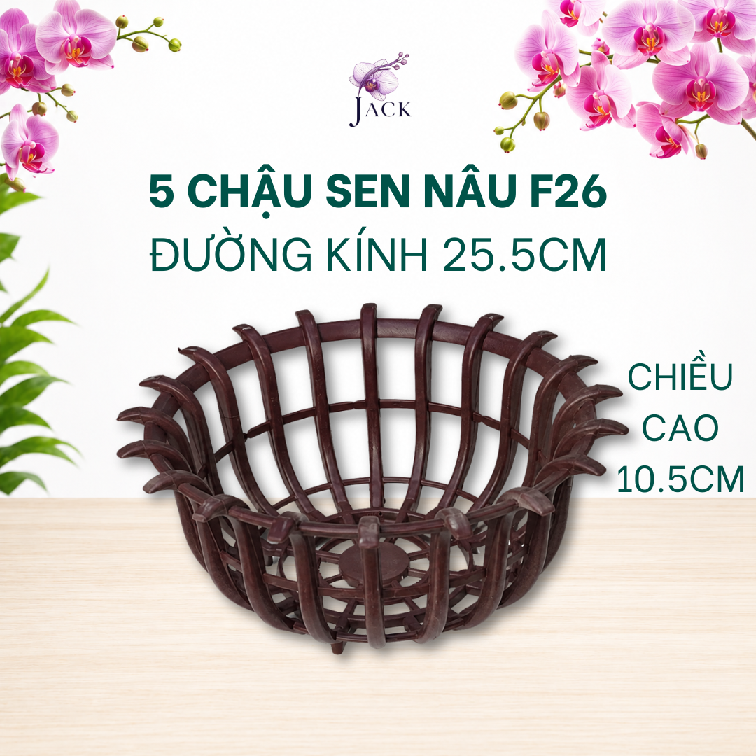  Chậu Nhựa Trồng Lan Hình Hoa Sen Jack - Nan Dày, Kèm Móc 
