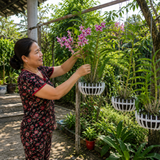  Combo 5 Chậu Nhựa Trồng Lan Hình Quả Bí — 5 Kích Thước, 2 Màu, Bền Nhẹ 